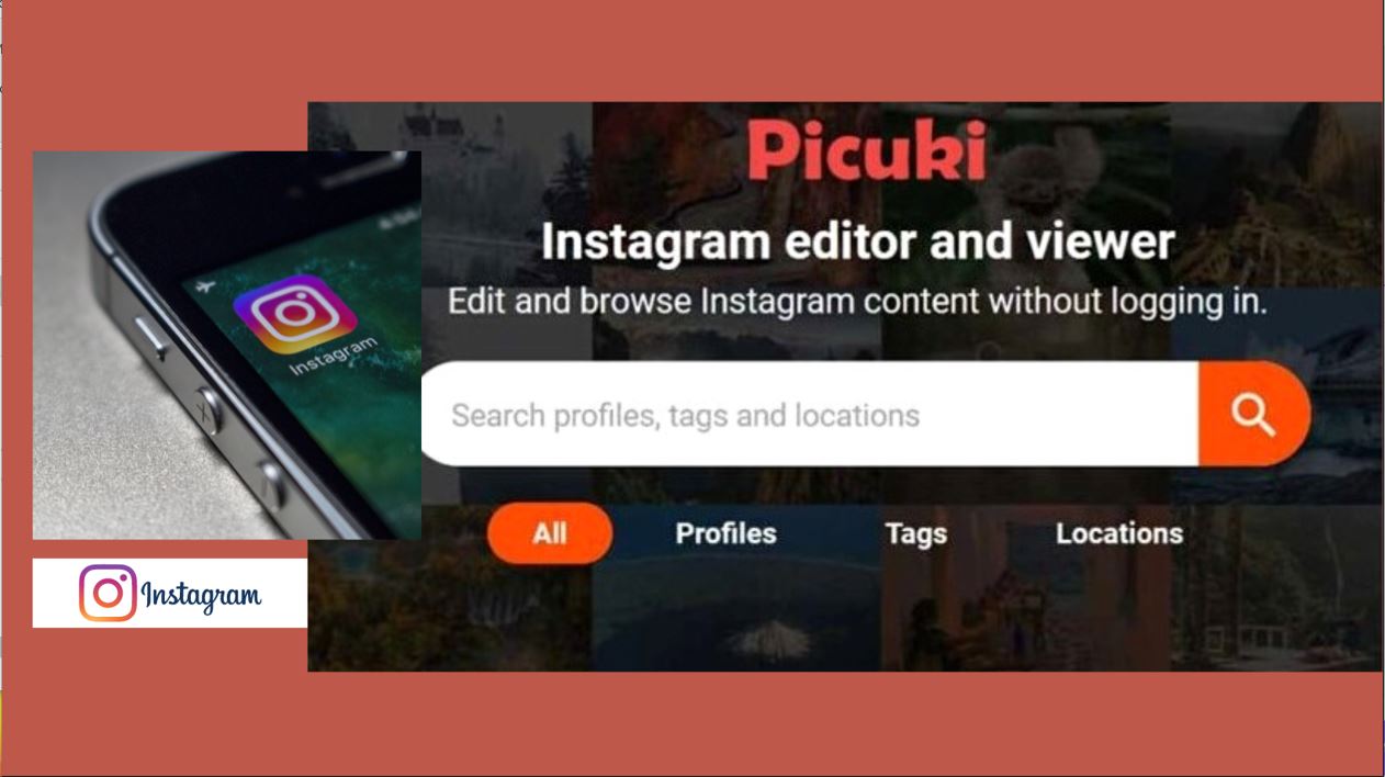 Why Is Picuki Not Working Is It Down: Reasons & Fixes For Picuki Error |  SelectYourDeals